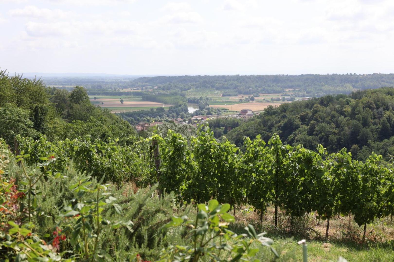 Braida Wine Resort Rocchetta Tanaro Exterior photo
